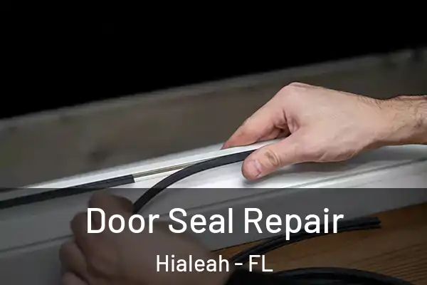 Door Seal Repair Hialeah - FL